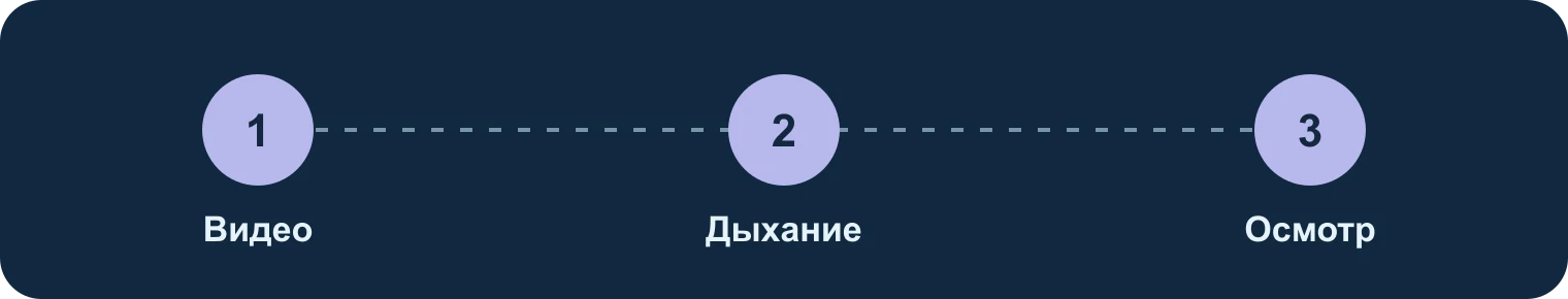 Кашель кошки: видео, дыхание, осмотр: Видео, Дыхание, Осмотр
