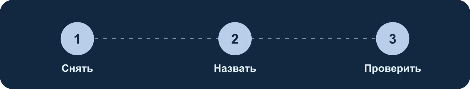 Снять, назвать, проверить: Снять, Назвать, Проверить