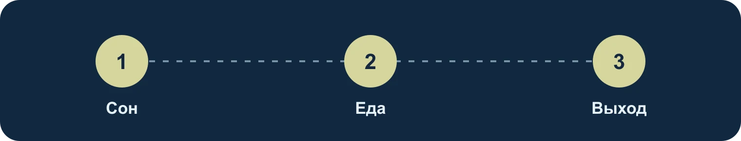 Сон, еда, выход: Сон, Еда, Выход