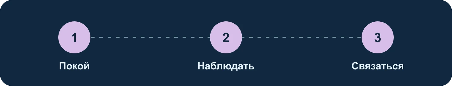 Покой, наблюдение, связь: Покой, Наблюдать, Связаться